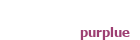 Seu site